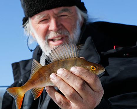 Natursafari i Abborrträsk - genuina fiskeupplevelser i Lapplands inland