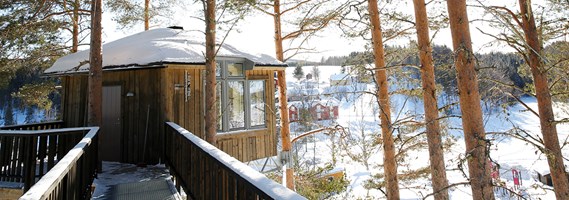 Granö Beckasin – exotisk natur i svensk skogsbygd