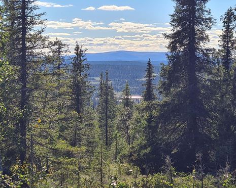 Ekopark Karhuvaara - väglös vildmark