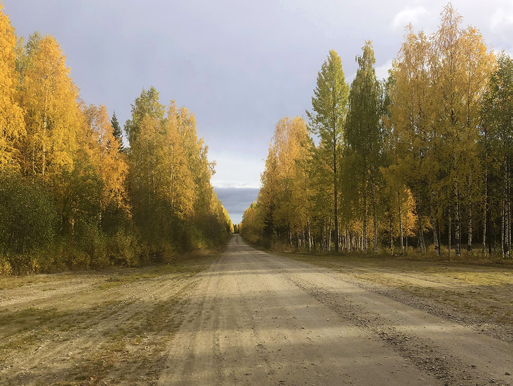 Höstfärger längs Flygrakan