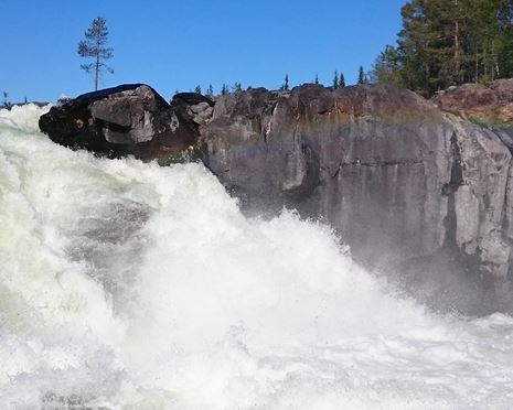 Ekopark Piteälven - de vilda forsarnas ekopark