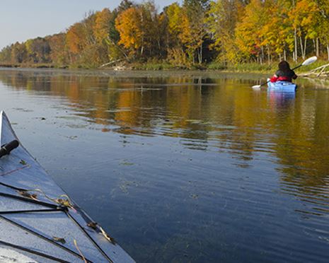 Licences for nature tourism