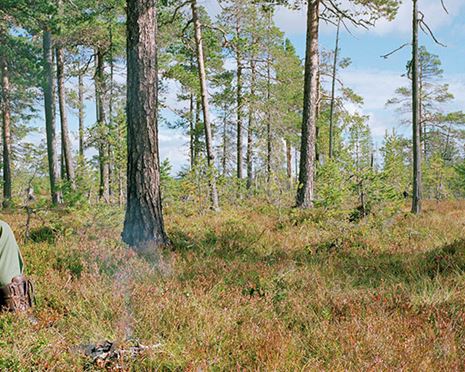 Jaktkort småvilt Stora Stenträsket