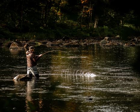 Fiskeupplåtelser