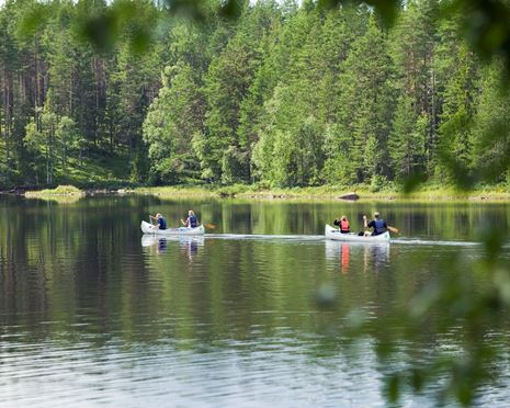 Upplåtelser för naturturism