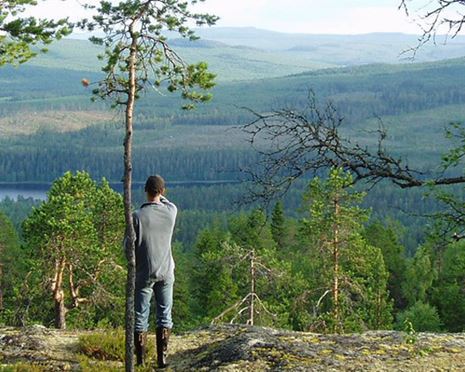 Ekopark Käringberget - Björkarnas, kungsörnarnas och orrarnas ekopark