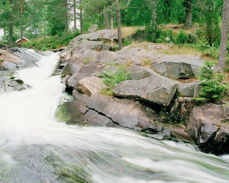 Ekopark Malingsbo - flodpärlmusslans hemvist