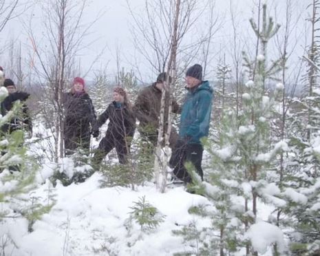 Film: Från planta till planka