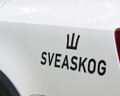 Sveaskogs logotyp