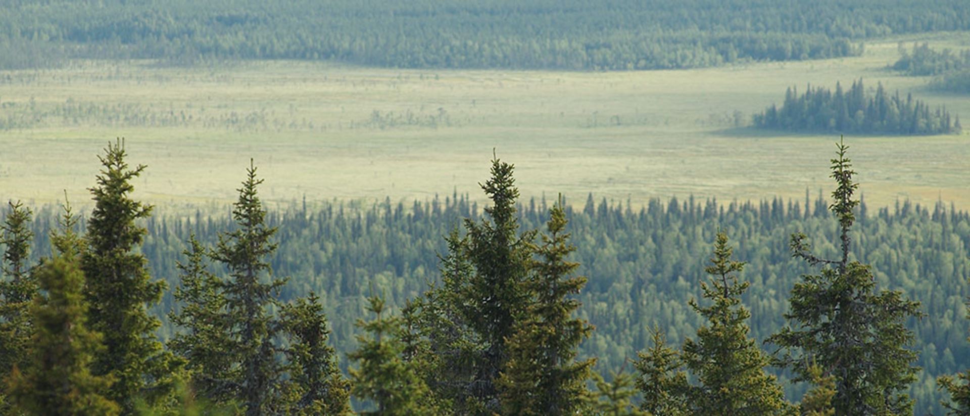 Vy över Ekopark Rautiorova