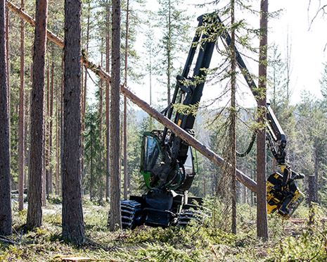 Mätprecision i fokus hos Sveaskogs maskinlag