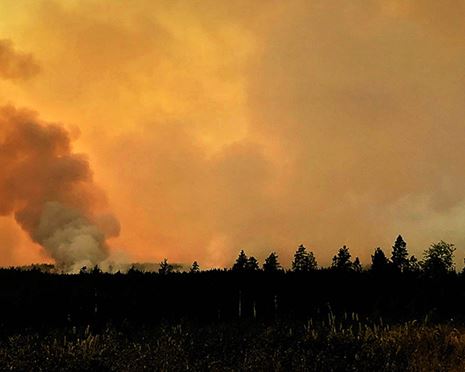 Brandövervakning från luften behövs redan i sommar