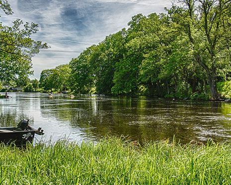 The River