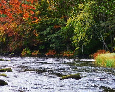 Autumn fishing in Härnäs