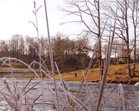 Fishing rules for salmon fishing on Mörrum's Kronolaxfiskes stretches