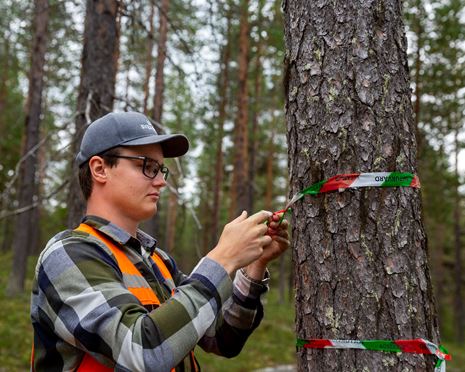 Sponsring för skolor