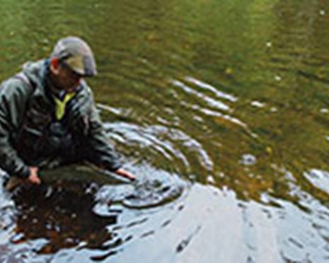 Boka fiskekort, paket, camping och boende