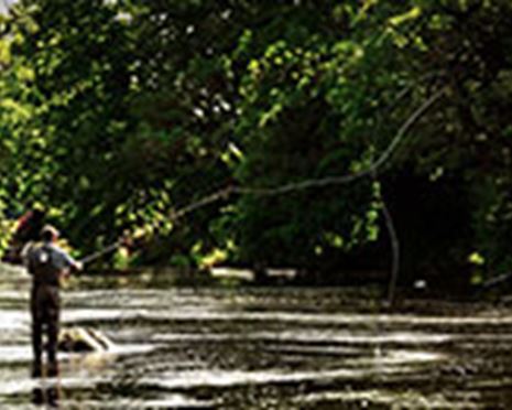 Rent a rod