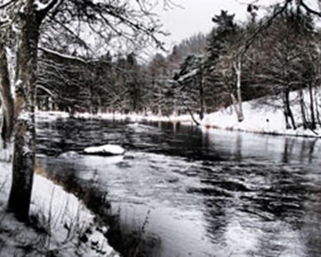 Boka fiskekort, paket, camping och boende