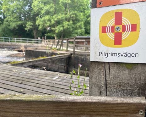 Pilgrimsvägen