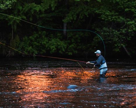 Forskningstudie om fritidsfiske och fisketurism i Mörrum
