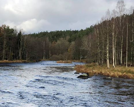 Biologisk återställning