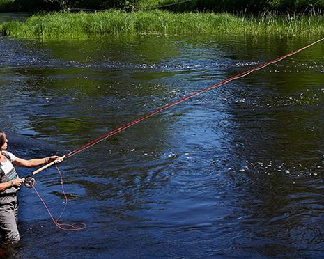 Day fishing with introduction