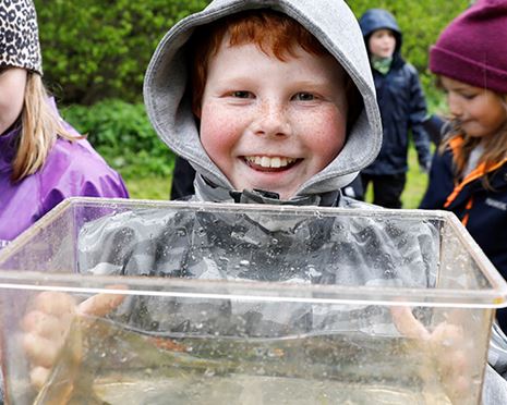 Populära Skolbäcken ger elever möjlighet att lära sig mer om livet under vattenytan