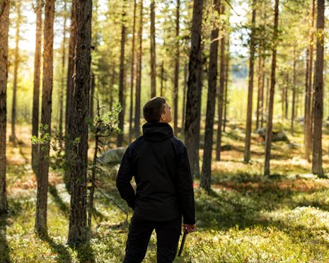 Forskning, utveckling och innovation driver skogsbruket framåt