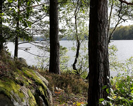 Svemester – ett utmärkt sätt att uppleva ekoparker runtom i Sverige