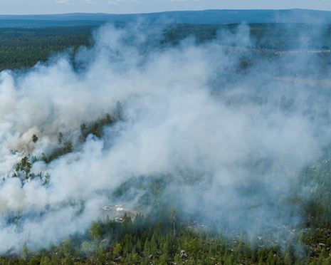 Framgångsrik naturvårdsbränning i Ekopark Ejheden i nordöstra Dalarna