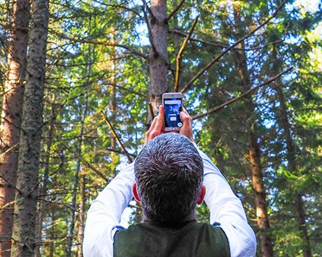 Arboreal Trädhöjd utvecklar framtidens skogsskötsel