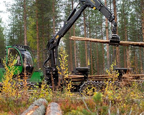 Gallring – en åtgärd i tiden