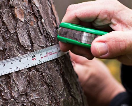 Fler köpplanerare stärker affärerna