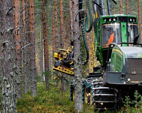 Ta ett helhetsgrepp om din skog – möt oss på Skogsmaskindagarna!