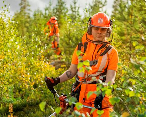 Röj i rätt tid – det lönar sig