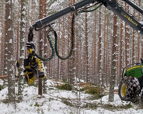 Massaveds- och biobränslepriserna gör gallringen lönsam