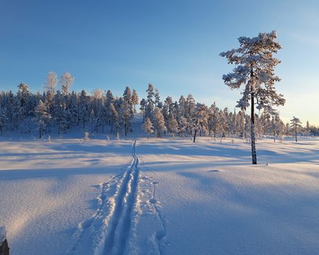 Äventyr Ekopark
