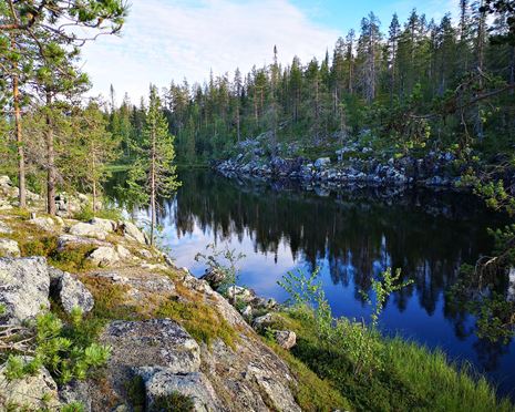 Ekopark Naakajärvi - den nordligaste ekoparken