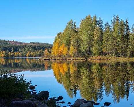 Ekopark Vuollerim - där älvarna möts