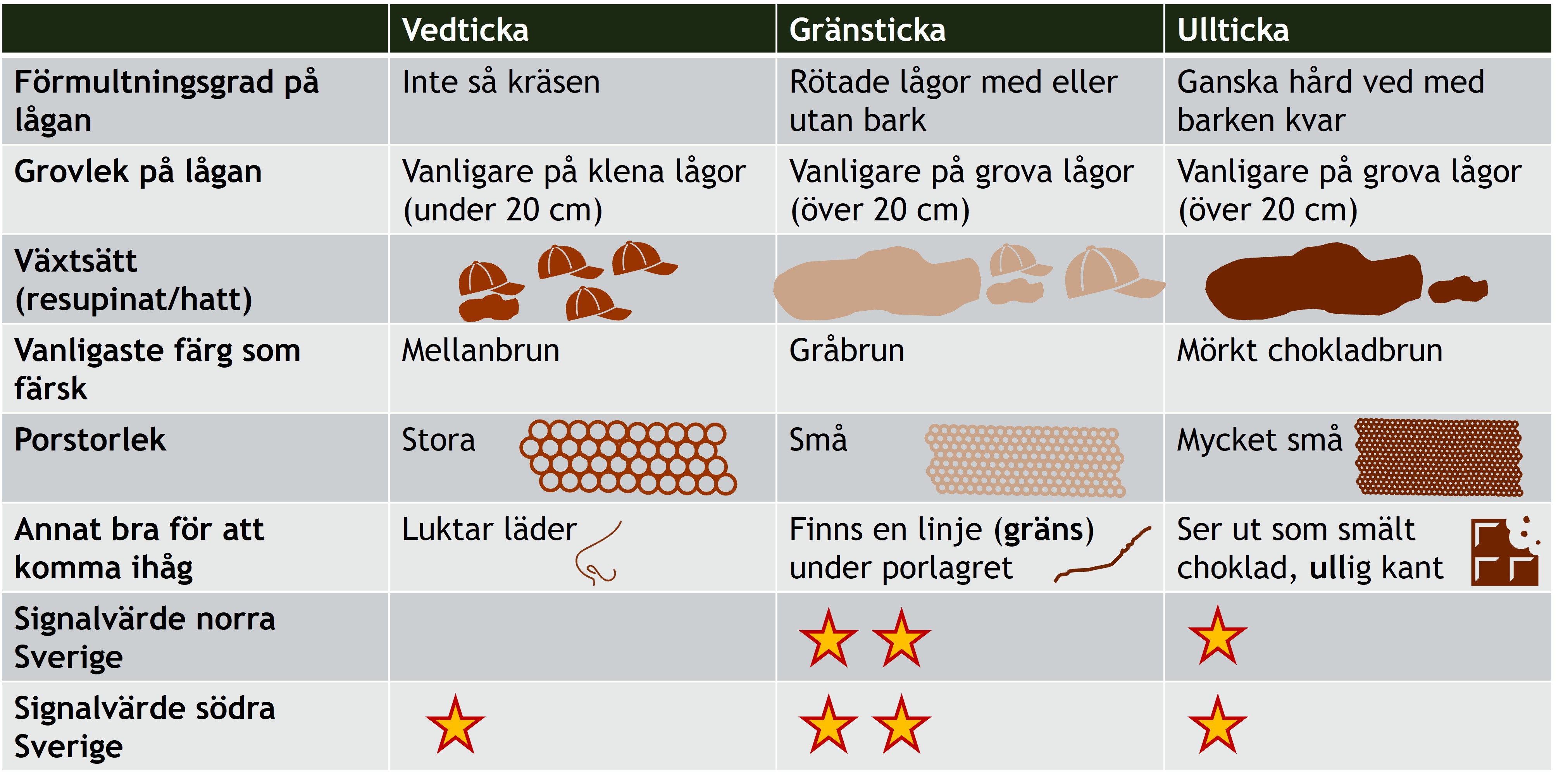 Tabell jämförelse olika tickor.jpg