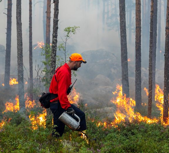 Naturvårdsbränning