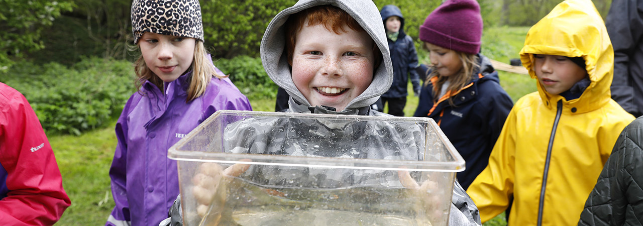 Populära Skolbäcken ger elever möjlighet att lära sig mer om livet under vattenytan